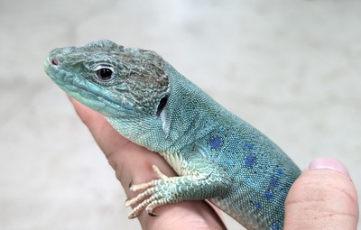 PXL_20251127_145005254