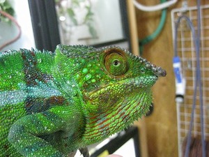 IMG_5529