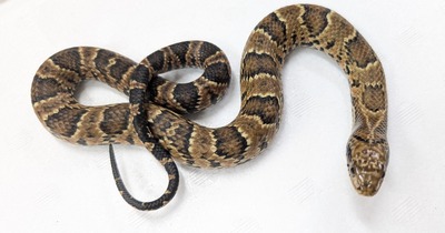 PXL_20251008_113201580~2