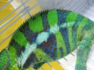 IMG_5551