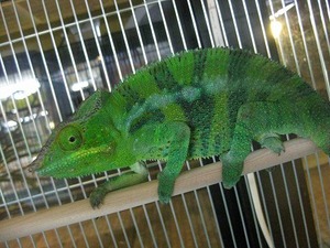IMG_5561