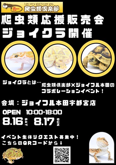 ¥¸¥ç¥¤¥¯¥é³«ºÅ