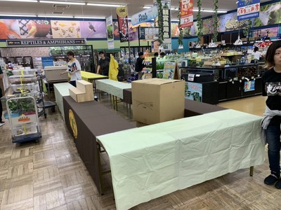 20190615074911