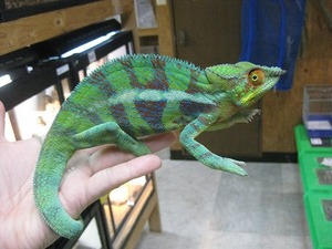 IMG_5496