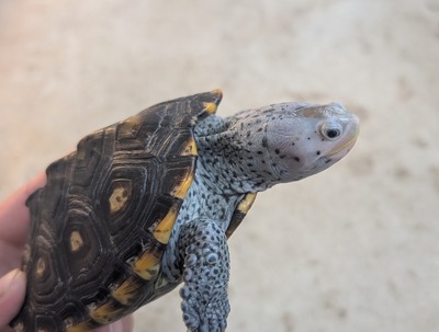 PXL_20251127_073054134~2