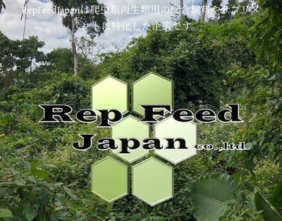 RepFeedJapan