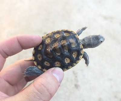 PXL_20251127_073025256~2