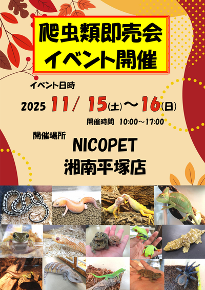 nicopet湘南平塚イベント_01