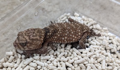 PXL_20251127_160031391~2