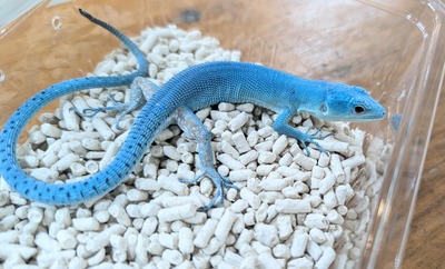 PXL_20251010_043653641~2