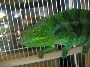 IMG_5562
