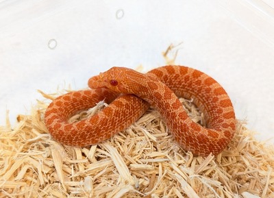 PXL_20251009_055647439~2