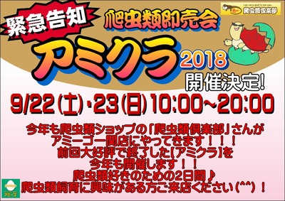 ¥¢¥ß¥¯¥é¥Ý¥¹¥¿¡¼