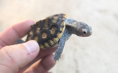 PXL_20251127_073029641~2