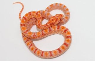 ������07