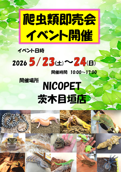 nicopet�����ܳ����٥��_01