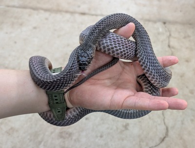 PXL_20251010_080004992