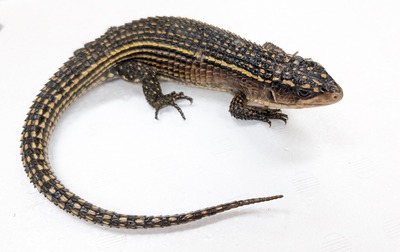 PXL_20251008_115033598~2