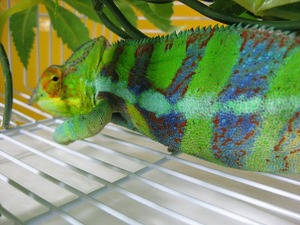 IMG_5546
