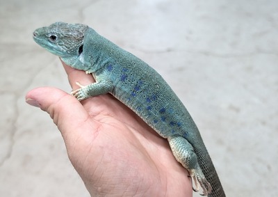 PXL_20251127_144954241