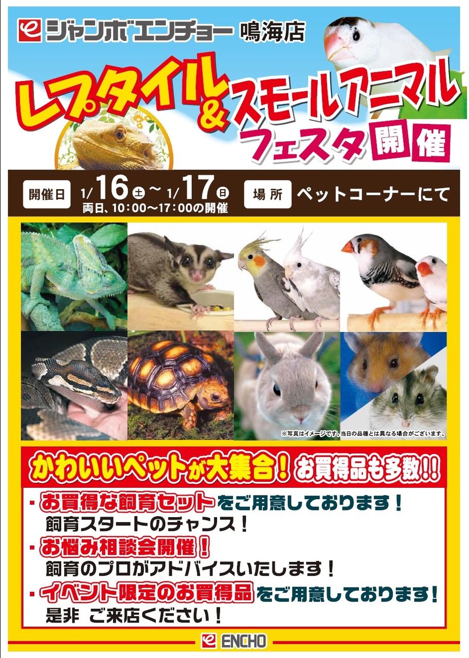 明日 明後日はレプタイルフェスタ 爬虫類倶楽部ファームブログ