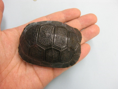 ��������2