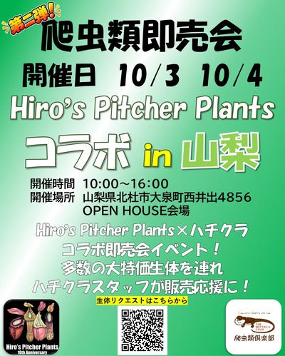Hiro's Pitcher Plants テンプレート