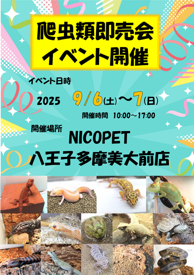 nicopetȬ����¿�����������٥��_01