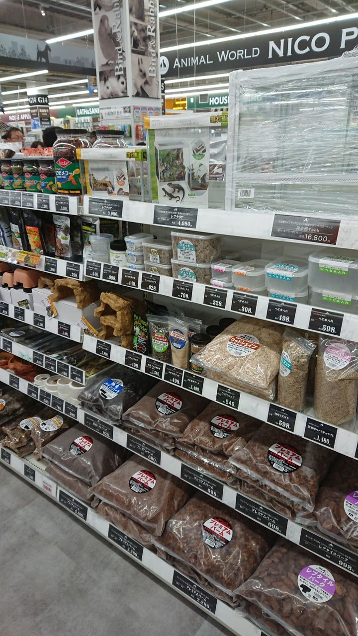 ホームセンタームサシ ニコペット久喜菖蒲店 In 埼玉 グランドオープン 爬虫類倶楽部ファームブログ ホームセンタームサシ ニコペット久喜菖蒲店 In 埼玉 グランドオープン 爬虫類倶楽部ファームブログ