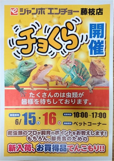 2019.6·îÆ£»Þ