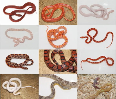 ������00