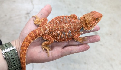 PXL_20251010_121906893~2