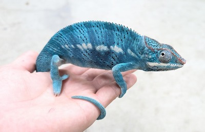 PXL_20251010_134213178~2