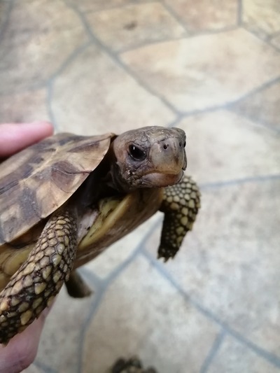 IMG_20200605_191858_1