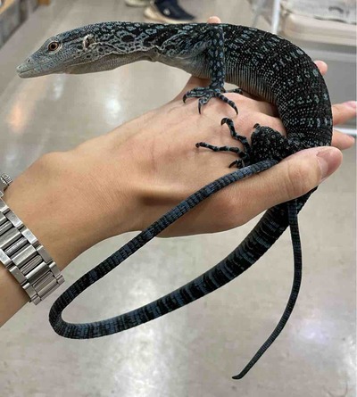FullSizeRender