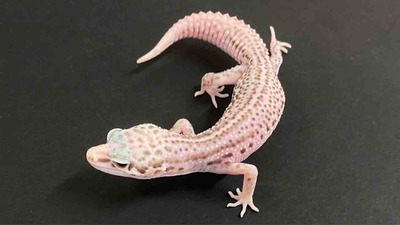FullSizeRender