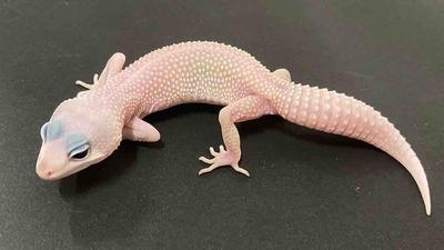 FullSizeRender