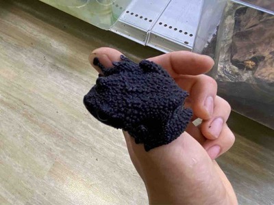 FullSizeRender