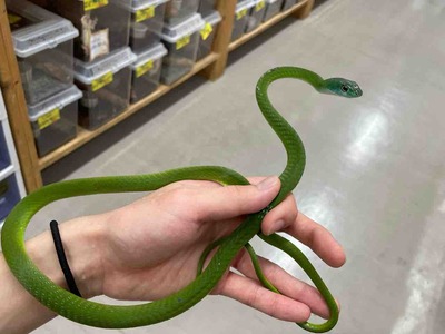 FullSizeRender