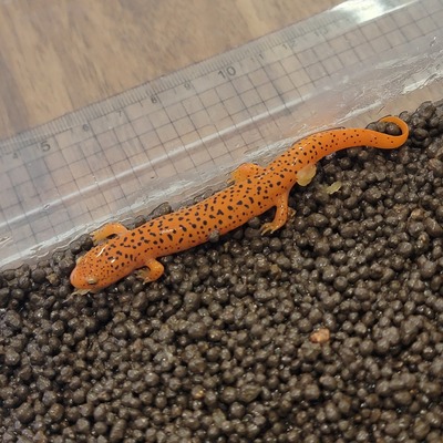 20260612_165244