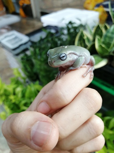 IMG_20200114_143001_1