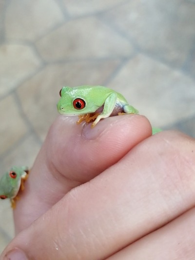 IMG_20200603_131203_1