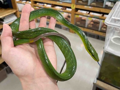 FullSizeRender