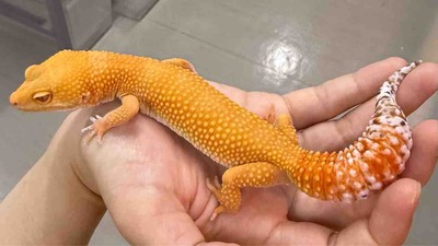 FullSizeRender