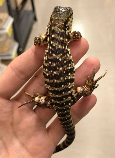 FullSizeRender