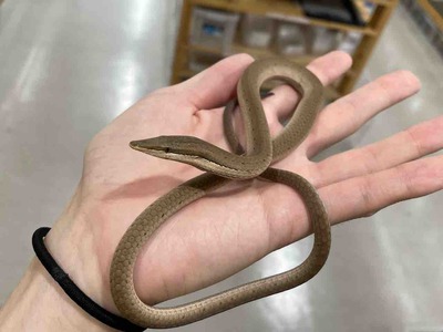 FullSizeRender