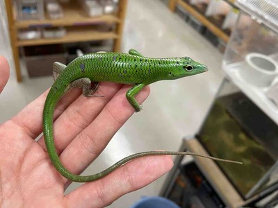 FullSizeRender