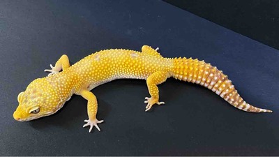 FullSizeRender