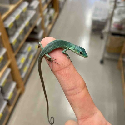FullSizeRender