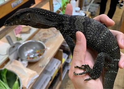 FullSizeRender